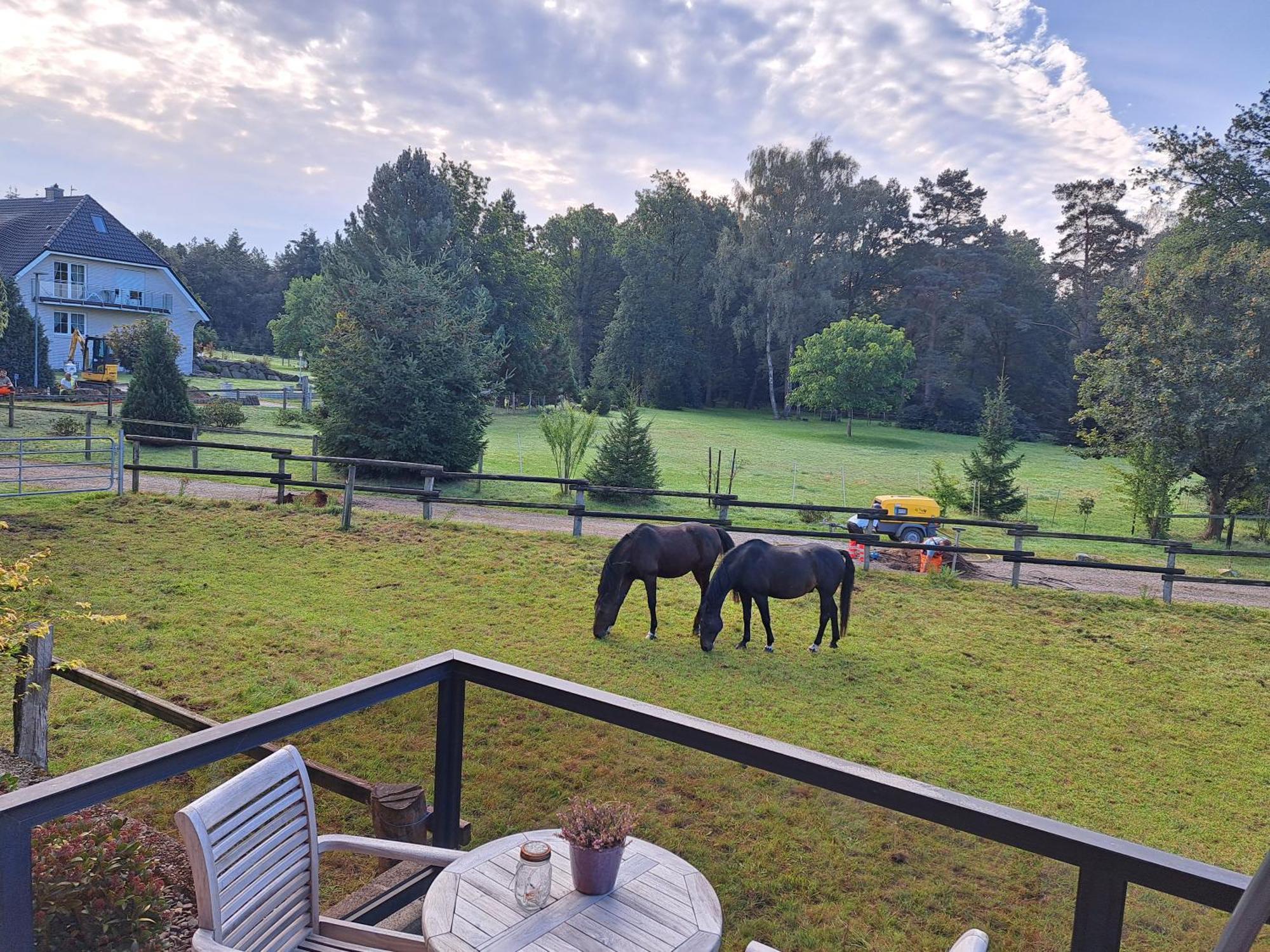 Dat Luette Heidehotel Funk - Garni Bispingen Buitenkant foto